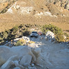 SmugMug > all-time keyword > flats > The steep rocky accent directly into the setting sun!