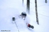 TeleFair > SnowAffair Telemark Clinics photo