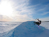 TeleFair > Red Bull Kite Freeze 
Minneapolis, MN